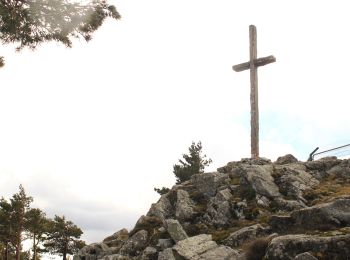 Trail On foot Guadarrama - [SL-M 44002] Alamos Blancos - Photo