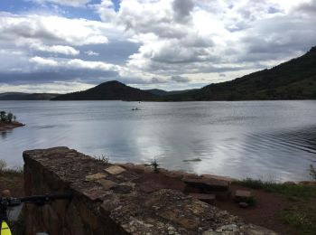 Excursión Bici de montaña Clermont-l'Hérault - 9945022-Tour du Salagou - Photo