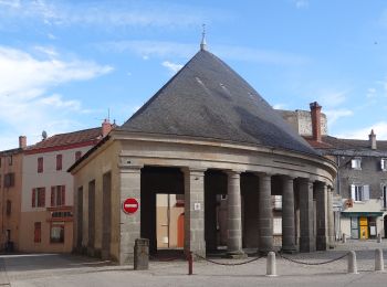 Tocht Te voet Lempdes-sur-Allagnon - Les Cotes de Lempdes - Photo