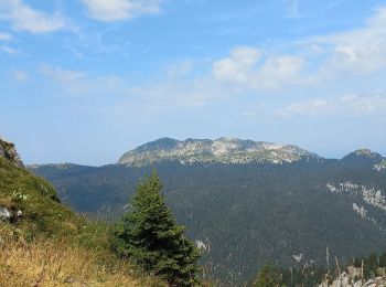 Excursión Senderismo Proveysieux - charmant som de la Charmette - Photo