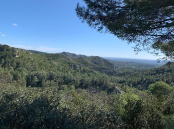 Excursión Senderismo Les Baux-de-Provence - Sensei34270 - Photo