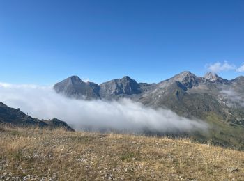 Tour Andere Aktivitäten Laruns - Petit train touristique d'Artouste - Photo