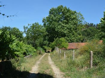 Randonnée A pied Bustelo - Caminho do Românico 2 - Photo