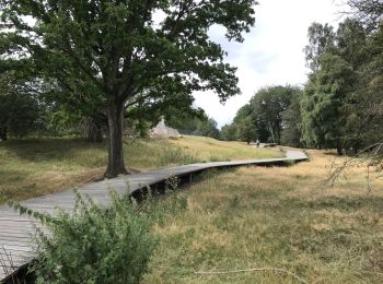 Randonnée Marche Ypres - Ypres Zillebeke vijver 17 km - Photo