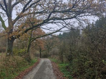Trail Walking Somme-Leuze - Baillonville-Waillet-Les Vennes - Photo