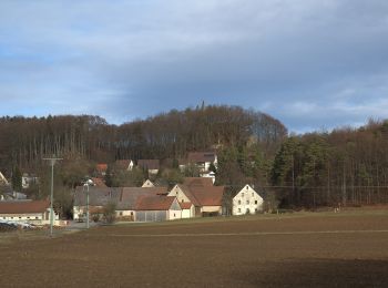 Tocht Te voet Simmelsdorf - Simmelsdorfer Rundwanderweg Rot 9 - Photo