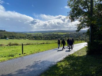 Tour Zu Fuß Wellin - Wellin - Photo