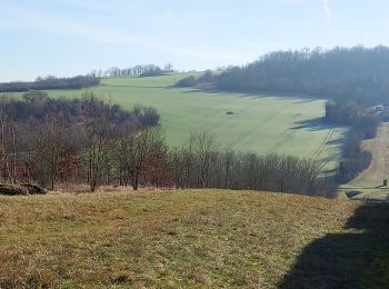 Randonnée Marche Villemanoche - Villemanoche 240127 - Photo