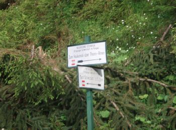 Excursión A pie Sankt Veit im Pongau - Bräualm-Untere Thennalm - Photo