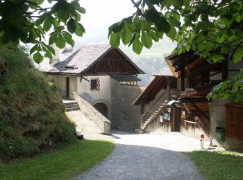 Tour Zu Fuß Scuol - Chaposch - Gurlaina - Photo