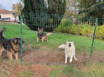 Tour Wandern Saint-Victor-de-Morestel - 20211102 balade - Photo