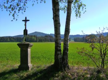 Randonnée A pied Kemnath - GEO-Erlebnisweg Kemnather Land - Kemnathrunde - Photo