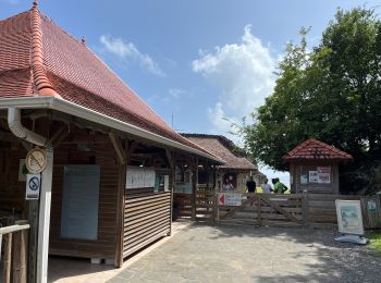 Trail Walking La Trinité -  Caravelle - Photo