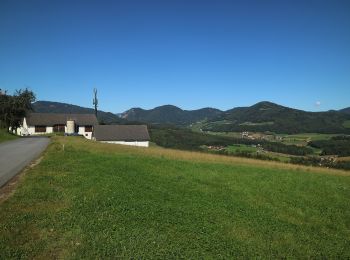 Tour Zu Fuß Mortantsch - Wanderweg 14 - Photo