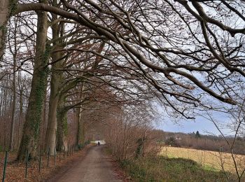 Tocht Stappen Yvoir - Marche ADEPS Mont - Photo