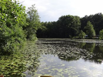 Tour Zu Fuß Rheurdt - Littard Rundweg A1 - Photo