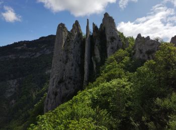 Randonnée Marche Pennes-le-Sec - les lames de Pennes  - Photo