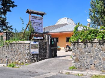 Excursión A pie Rocca di Papa - Circuito delle Faete di Rocca di Papa - Photo