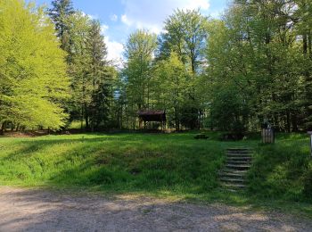 Randonnée Marche Raon-aux-Bois - circuit parcours raon aux bois chalet de bennevise - Photo