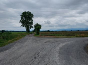 Tour Wandern Livron - Livron Rs vershourssimplifié - Photo