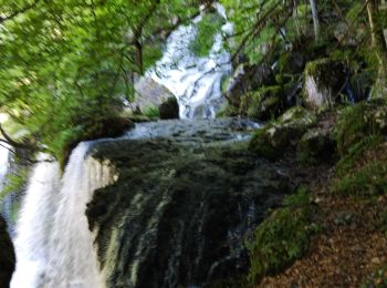 Tour Wandern Les Déserts - Nivolet - Photo