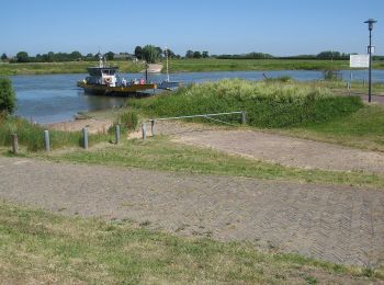 Randonnée A pied Rheden - Dwars door Gelderland (19) - Photo