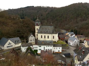 Percorso A piedi Schlangenbad - Glaabacher Almauftrieb - Photo