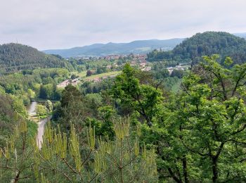 Randonnée Marche Bruyères - Bruyères  l'Avison - Photo