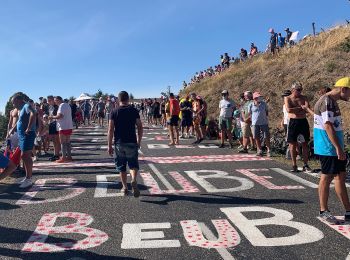 Tocht Te voet Yzeron - Col des Brosses - Photo