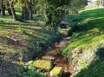 Tour Wandern Jaure - Petite Boucle Chateau de Jaure  - Photo