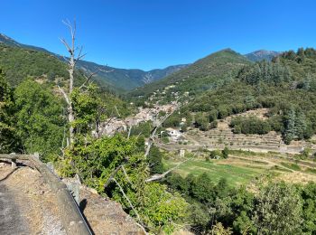 Tocht Mountainbike Val-d'Aigoual - Fait GTMC E6 Bez et Esparon - Photo