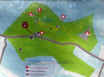 Excursión Senderismo Auch - Bois Auch circuit jaune  - Photo