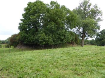 Tour Zu Fuß Landen - Pepijn wandeling - Photo