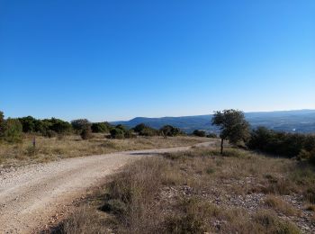 Trail Walking Aniane - grotte des reliques, montcalmes - Photo