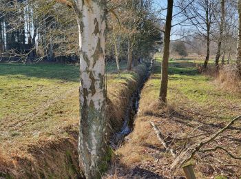 Randonnée A pied Scheeßel - Nordpfad 'Wümme und Vareler Heide' - Photo