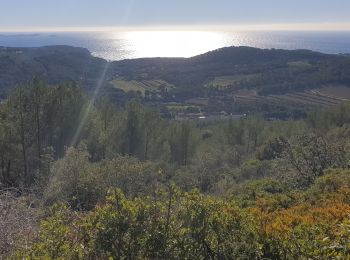 Trail Walking Saint-Cyr-sur-Mer - LA DUNE - Photo