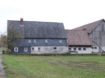 Percorso A piedi Mitwitz - Kirchen-Wanderweg - Photo