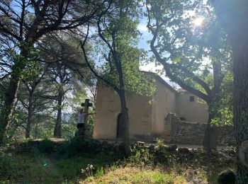 Trail Walking Rognes - Rognes virée dans les vignes sur le sentier des vignerons - Photo