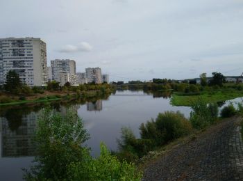 Trail Walking Tours - Tours - Prébendes Chambray-lès-Tours - 7.7km 80m40 1h25 - 2021 09 28 - Photo