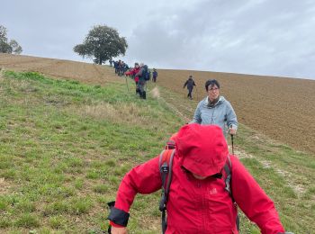 Tour Wandern Castéra-Verduzan - GRP Gascogne - Photo