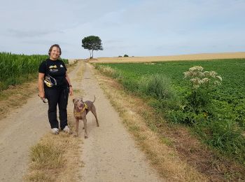 Tocht Stappen Bry - 2019-07-19 boucle a Bry 10 km - Photo