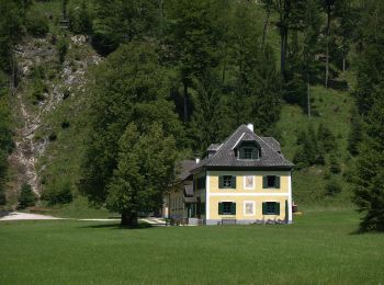 Randonnée A pied Steinbach am Attersee - Aus dem Weißenbachtal auf den Grünalmkogel - Photo