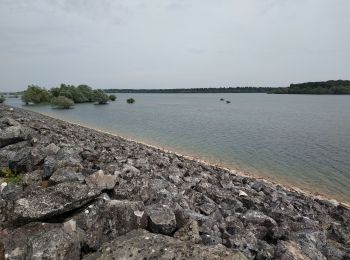 Excursión Bicicleta híbrida La Loge-aux-Chèvres - Tour du lac du temple - Photo