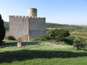 Randonnée A pied Santa Margarida i els Monjos - Penyafort-Castellet - Photo