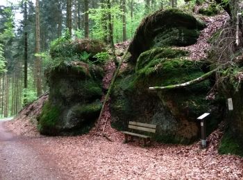 Trail Orienteering Xertigny - parcours vert CO Xertigny 10-05-19 - Photo