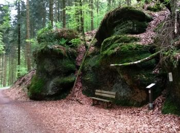 Randonnée Marche Xertigny - parcours vert CO Xertigny 10-05-19 - Photo