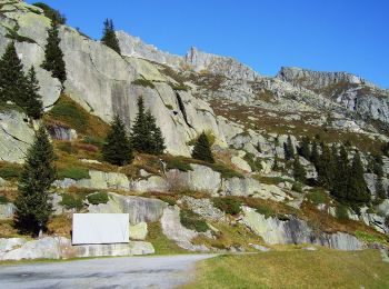 Tocht Te voet Göschenen - Göscheneralp - Horwen - Photo