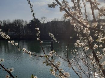 Tour Wandern Saint-Maur-des-Fossés - de saint maur des fossés  au lac Daumesnil  - Photo