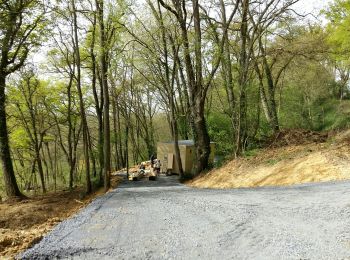 Excursión Senderismo Sévignacq - SEVIGNACQ  M1 les vieux moulins fait LPC   2729704 - Photo