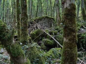 Tour Wandern Chaley - Albarine à Chaley - Photo